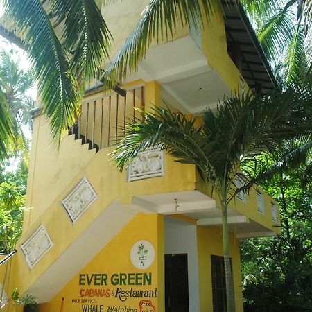 Ever Green Mirissa Buitenkant foto